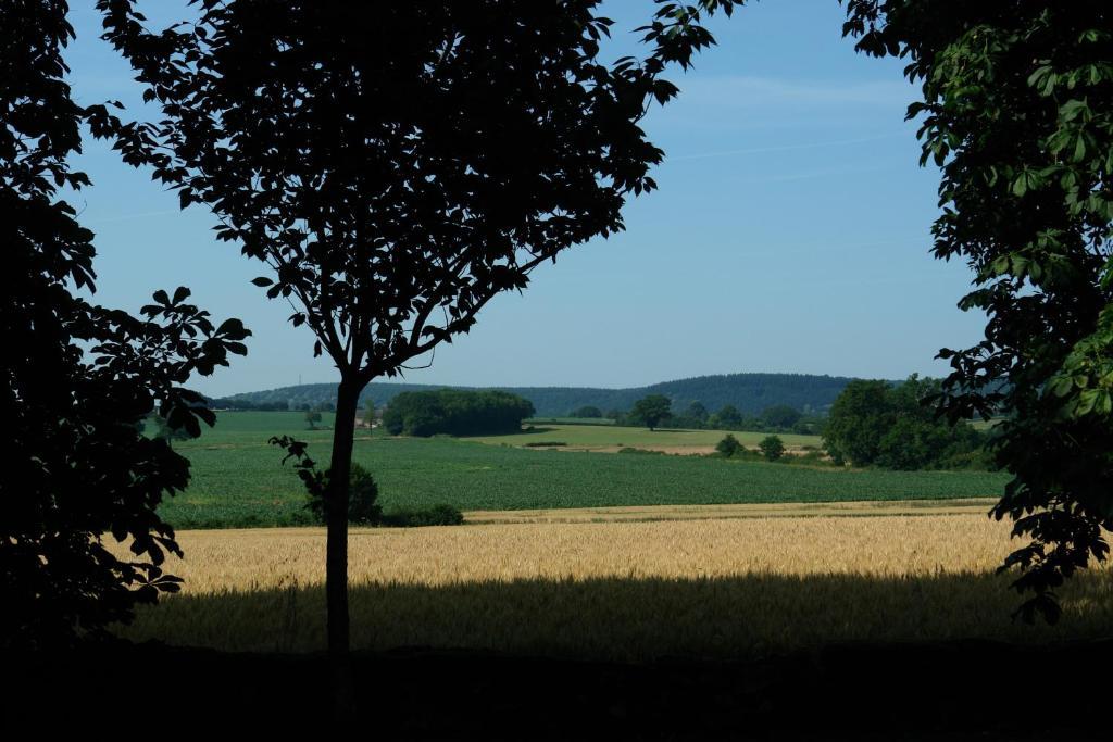 Chambres D'Hotes - Domaine Des Perrieres Crux-la-Ville Bagian luar foto